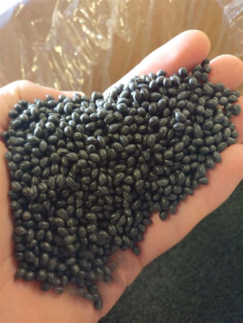 pvc repro pellets flexible pvc black pellets