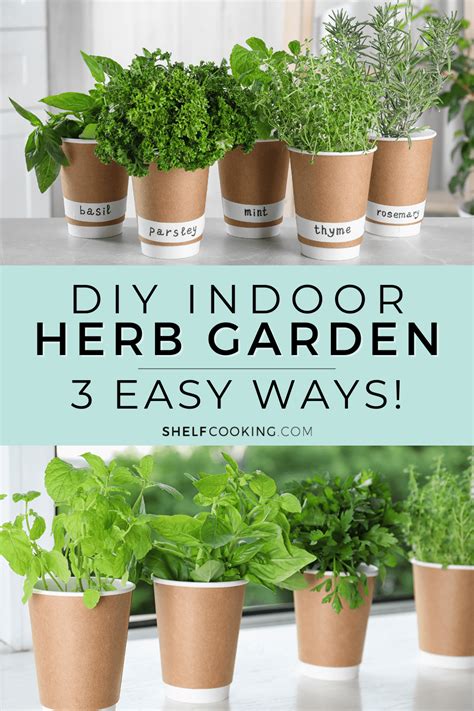 Kitchen Herb Garden Tutorial: Easy Tips & Tricks - Shelf Cooking