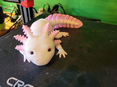 Adorable Axolotl Articulado Cuerpo Imprimible Cabeza Encajable Lindo