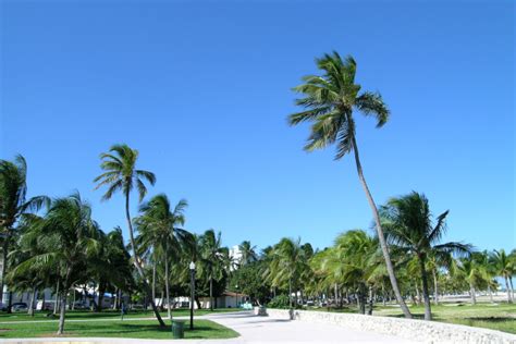 About the Miami Beach Boardwalk