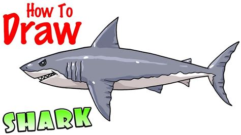 how to draw a shark Shark draw step drawing easy kids great beginners