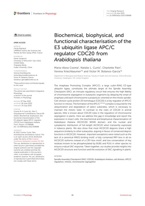 Pdf Biochemical Biophysical And Functional Characterisation Of The