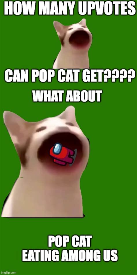 Pop Cat Likes Upvotes Imgflip