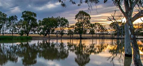 Parkrun Profile Wimmera River Parkrun Horsham Parkrun Au Blog