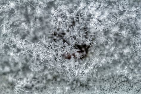 Close-up Photography of Snowflake · Free Stock Photo