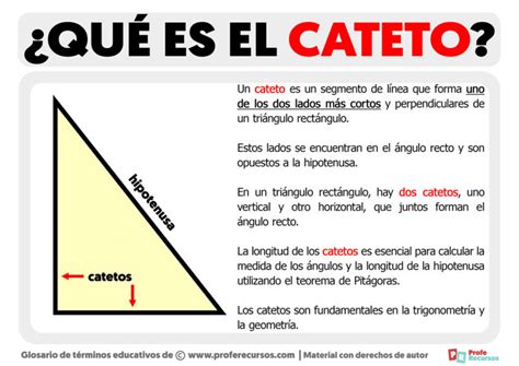 Qué es el Cateto Definición de Cateto