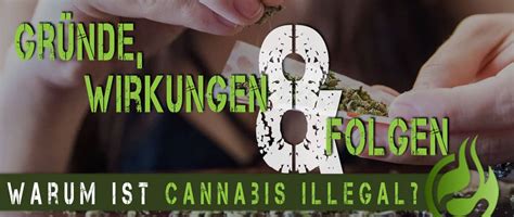 Warum Cannabis Wirklich Illegal Ist News And Aktionen News Blog E