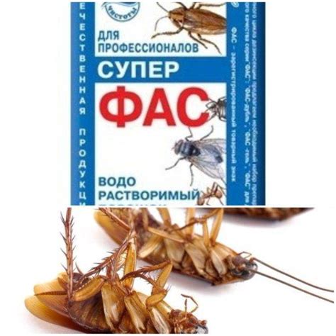Таблетки Фас от тараканов: описание, отзывы и инструкция по применению
