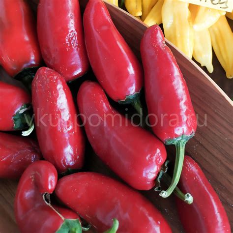 Купить семена перца острого сорта Халапеньо ранний (Jalapeno Early)