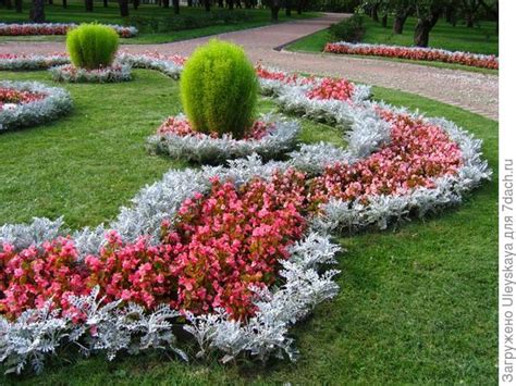 Кохия расставляет акценты