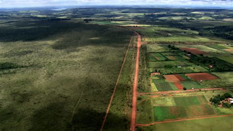 13 Brasilia National Park Stock Videos, Footage, & 4K Video Clips ...