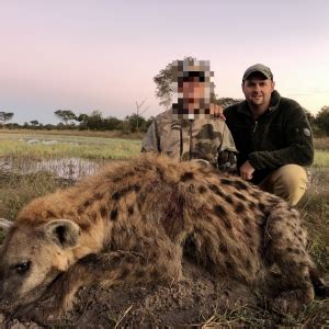 Spotted Hyena Hunting Namibia | AfricaHunting.com