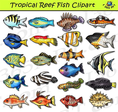 Tropical Reef Fish Clipart Set Download - Clipart 4 School