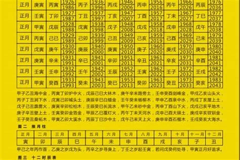 十二生肖2023年每月运势及运程（2021属兔的今年会有什么发生）生肖若朴堂文化