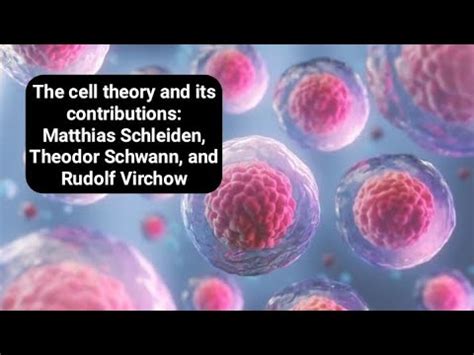 The Cell Theory And Its Contributions Matthias Schleiden Theodor