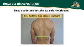 TORAX Pptx