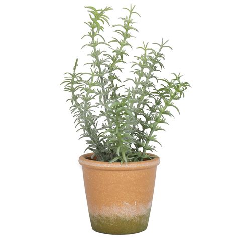 Artificial Potted Rosemary Plant - Evergreen Direct