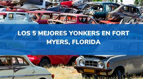 Los Mejores Yonkers En Fort Myers Florida