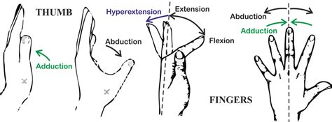 Active Range Of Motion (AROM) Exercises - Mobile Physio