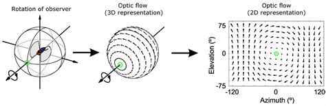 Optical Flow Estimation using C++ | by Melih Ekinci | Medium