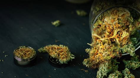 Leading Boynton Beach Cannabis Dispensary | Dispensary Boynton Beach, FL