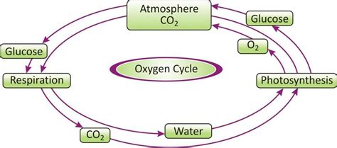 Cbse Class 9 Natural Resources Complete Revision