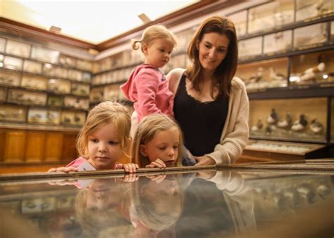 Dorman Museum - Tees Valley Museums