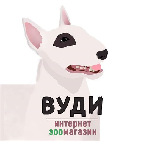 ВУДИ интернет зоомагазин | Kyiv