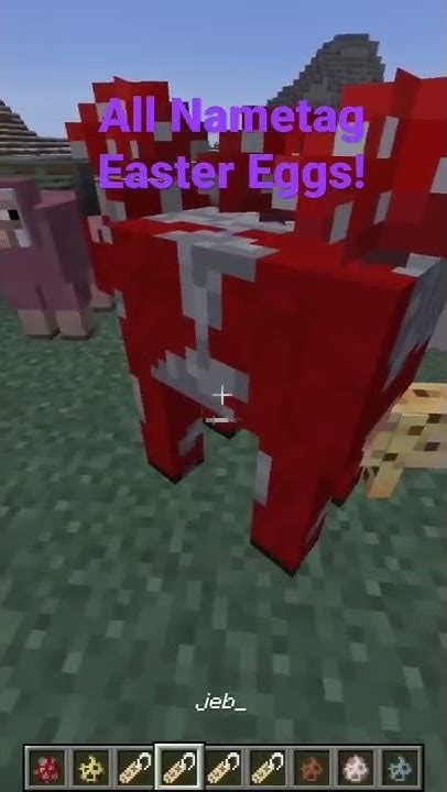 All Nametag Easter Eggs Minecraft Youtube