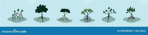 Mangrove Cartoon Tree | CartoonDealer.com #63059497