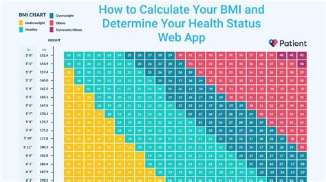 How To Calculate Your Bmi And Determine Your Health Status On Web App