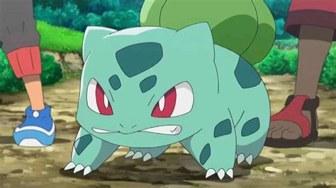 Bulbasaur Evolution Guide: Stats, Moves, Type, And Location - Cheat ...