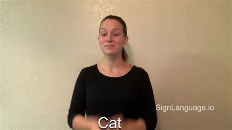 cat in ASL - Example # 7 - American Sign Language