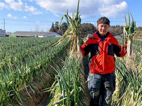 3本99円豊作貧乏で長ネギ農家が悲鳴「今晩だけで良いから食べて」｜まいどなニュース