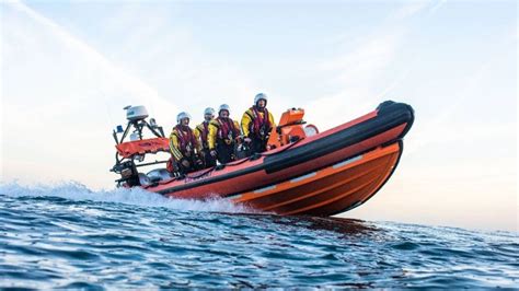 Dog Rescued After Falling More Than 100 Feet From A Cliff In Devon