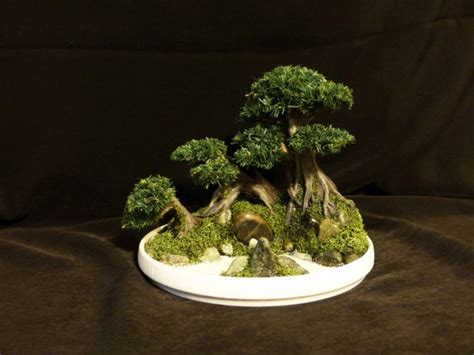 Zen Garden with Bonsai