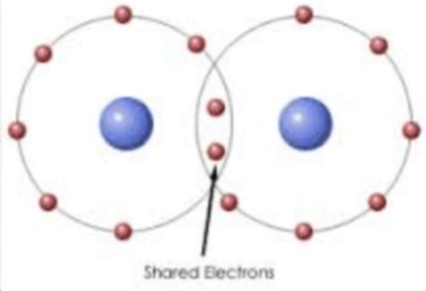 Ionic Metallic And Covalent Bonding Quizizz Flashcards Quizlet