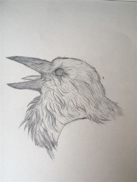 how to draw feathers 6