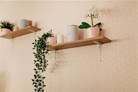 Las Mejores Plantas Para Decorar Los Pasillos De Tu Casa Imperio