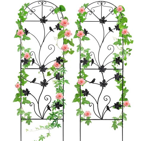 Mixxidea 64x17 Metal Garden Trellis For Climbing Plants Rustproof Sturdy Black Iron Trellis