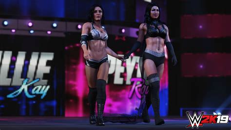 All The New Gameplay Features You Can Expect To See In WWE 2K19 - Just ...