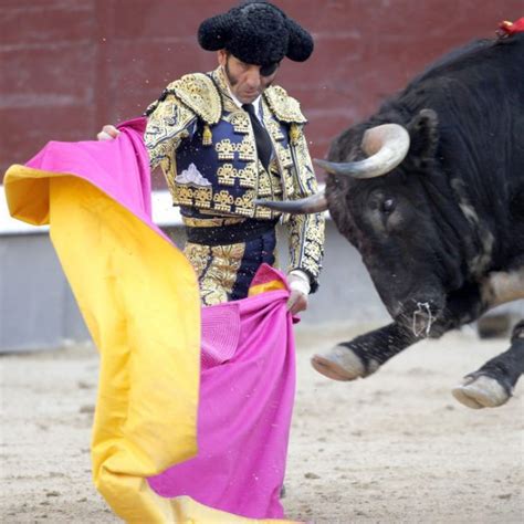 Juan José Padilla toreando en la Corrida de la Beneficencia 2013