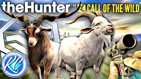 The Feral Goat Hunt Of A Lifetime Albino Feral Goat And My Biggest