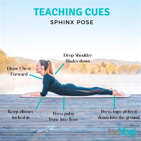 Learn How To Teach Yoga Poses From Beginner To Advanced Artofit