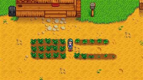 The Best Stardew Valley Crops for Maximum Profits - Level Push