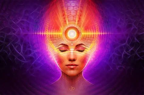 Pineal Gland Activation – Higher Density Blog