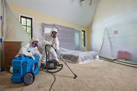 When Is Mold Remediation Necessary In A Maryland Home MoldGone Net