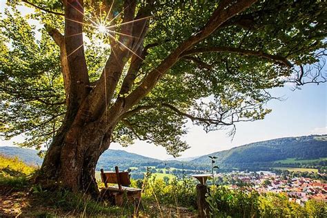 Jetzt abstimmen Hexenpfad in der Rhön für Titel Deutschlands