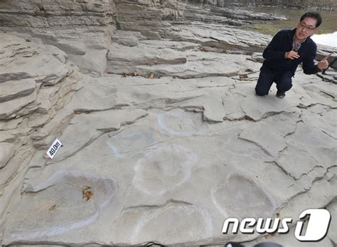 1억년 전 공룡발자국 발견 백악기 초식 공룡의 흔적 ‘다섯 마리 이상