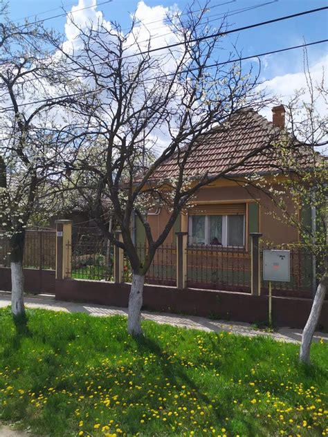 Casa De Vanzare In Biharia Biharia Olx Ro